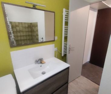 Location Appartement 1 pièce Meublé 23m² ST PIERRE DU MONT 40280 - Photo 5