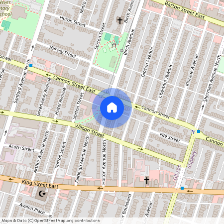 20 Birch Avenue, Hamilton