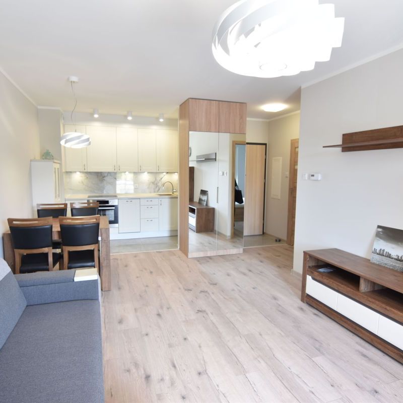 Nowe mieszkanie 2-pokojowe do wynajęcia! - Photo 1