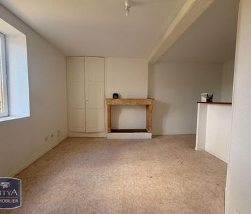 Location Appartement 1 pièce 24m² FLEURIEU SUR SAONE 69250 - Photo 2