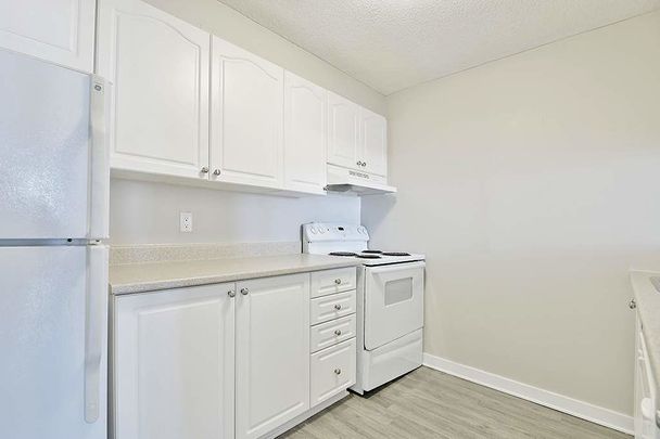Pet-Friendly Apartments At The Aventura in Ottawa West! RECEIVE ½ MONTH OF FREE RENT! - Photo 1