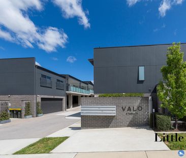 3/2 Telfer St, Coombs ACT 2611 - Townhouse For Rent | Domain - Photo 4