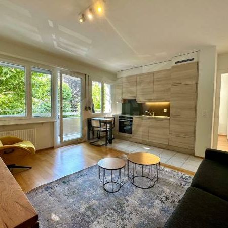 Charmant Appartement - Lausanne - Foto 1