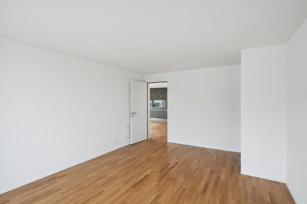3 ½ Zimmer-Attikawohnung in Galgenen mieten - Photo 1