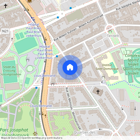 Avenue Gustave Latinis - Gustave Latinislaan, 29, 1030, Schaerbeek