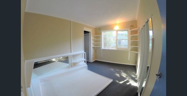 CLASSIC BEACH HOUSE - WALK TO EVERYTHING! - Photo 1