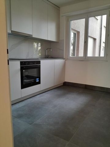 Charming apartment near Schützenmattpark - Photo 5