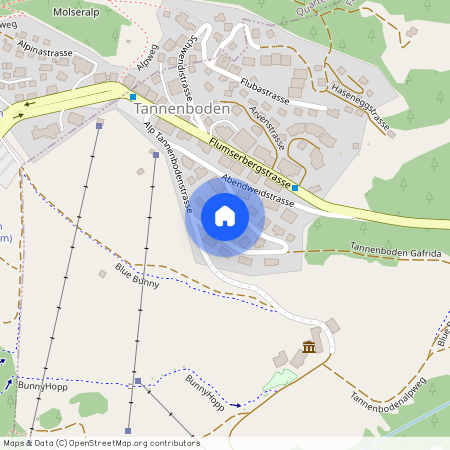 8898, Flumserberg Tannenbodenalp, Obere Abendweidstrasse, 10