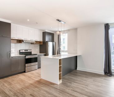 9675 Av. Papineau, app.9, H2B 3C8, H2B 3C8, Montréal - Photo 2