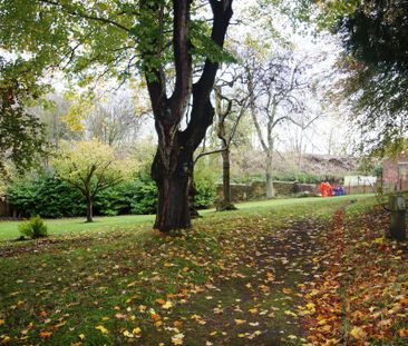 1 bedroom house to rent - Photo 5