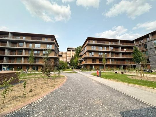 Studio te huur - Foto 1