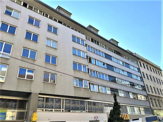 FAVORITENSTRASSE, U1-Nähe, 46 m2 Neubau, 1 Zimmer, Wohnküche, Wannenbad, Parketten, 4. Liftstock, Belvedere-Nähe - Foto 1