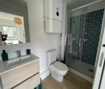 Location appartement 1 pièce - 18m² à Toulouse (31000) - Photo 1