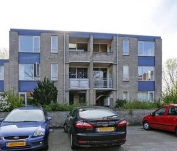 Jungfrau 0ong, 3524 WJ Utrecht, Nederland - Foto 4