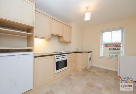 37 Ballydown Meadows, Banbridge, BT32 4QX - Photo 3