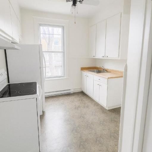 6 1/2 - Montréal (Hochelaga / Maisonneuve) - 1 600 $/mois - Photo 1