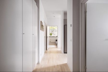 Gaffelseglet, Vega - Photo 2