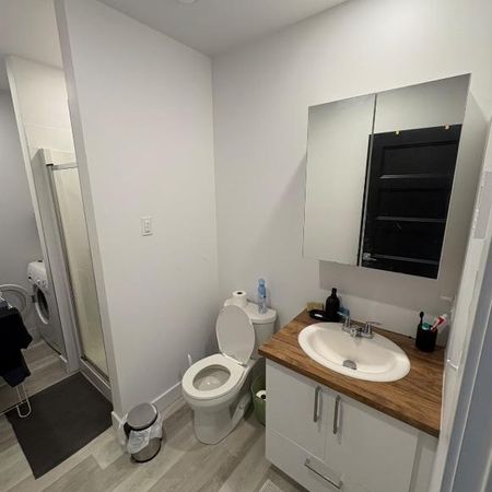 Reprise de bail - Spacieux 4 ½ lumineux à louer (chat accepté) - Photo 4