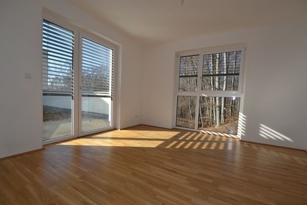 Ries – 53m² – 2 Zimmer Wohnung – Dachterrasse -inkl. TG Platz - Foto 1