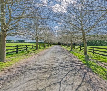 Rural paradise near Leeston - Photo 2