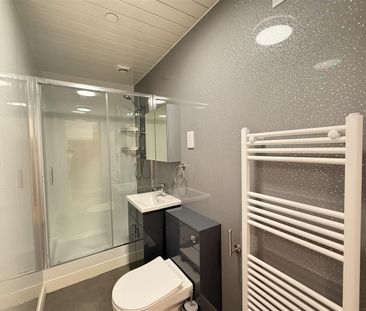 Apartment 1 12 Deiniol Road - Photo 4