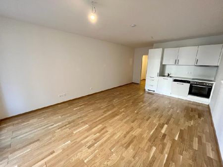 Gemütliche 1-Zimmer-Wohnung mit Balkon - Foto 2