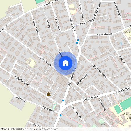 Ulmenweg 12 a, 3604 Thun