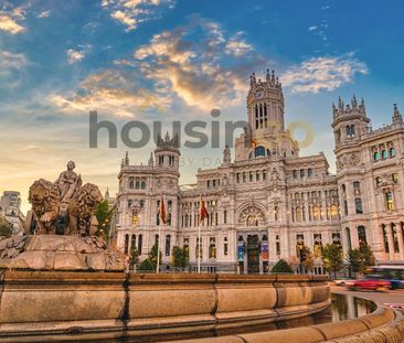 Apartment for rent in Madrid (Distrito Salamanca) - Photo 5