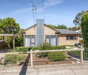 Charming & Light-Filled Home in a Quiet Ironbark Pocket - Photo 6