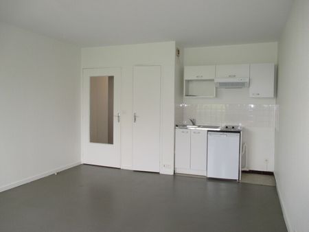 Location Appartement 1 pièce 30m² OLIVET 45160 - Photo 4