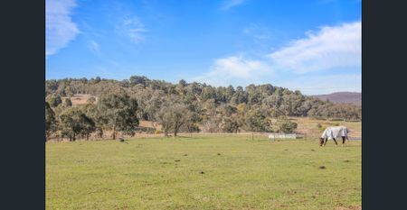 RURAL LIVING OPPORTUNITY - Photo 4