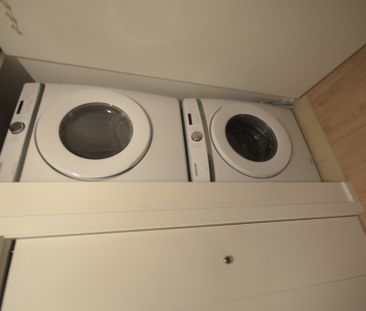 Appartement à Montréal (Mercier/Hochelaga-Maisonneuve) - Photo 3