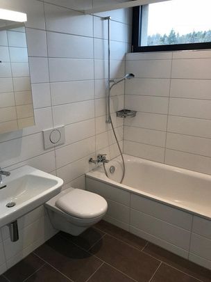 4.5-ZW à 94 m² im schönen Seeland - Photo 1