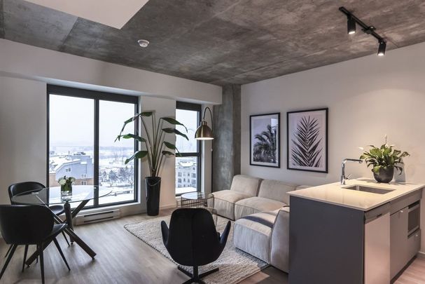 Rue St-Hubert, H2Y 0B9, Montréal - Photo 1