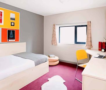 Large Standard Double Studio - Photo 6