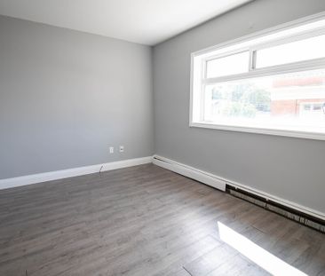 **COZY** BACHELOR APARTMENTS IN THOROLD!! - Photo 1