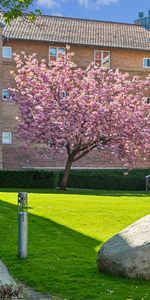 Farum Stationstorv 31, 1. th - Photo 3