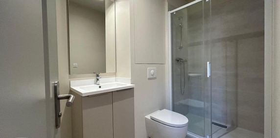 Location Appartement 1 pièce 21m² DOLE 39100 - Photo 2