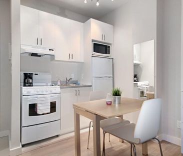 Loft entièrement meublé à louer Saint-Jean-Baptiste juillet 2026 - Photo 2