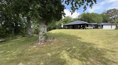 54 Nilgiri Road, Poraiti, Napier - Photo 3