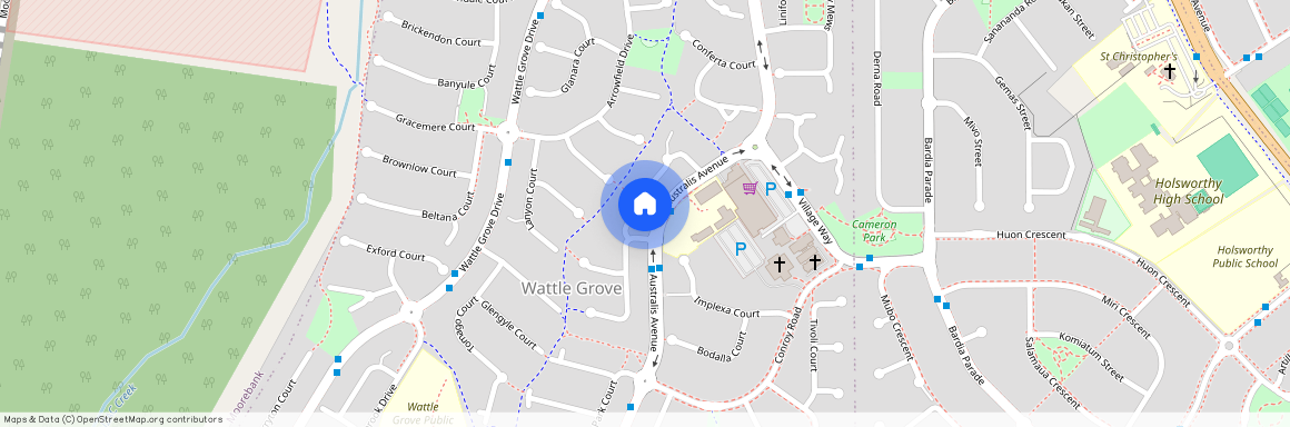 12A Booree Court, NSW 2173, Wattle Grove