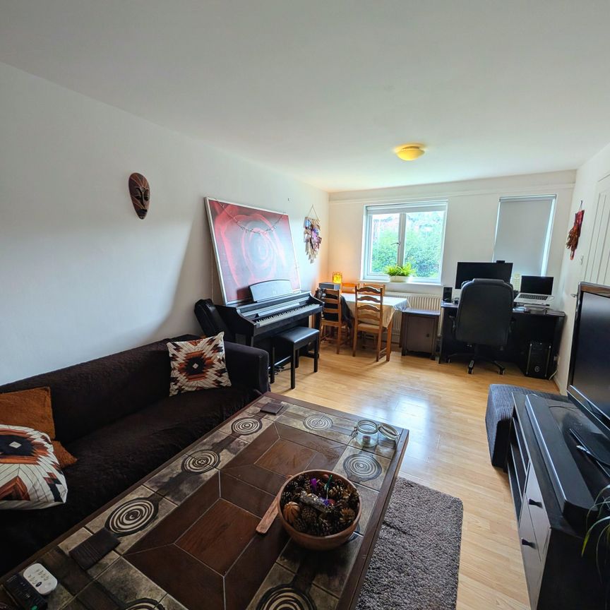 1 bed Flat in Rosebank House 217 Belle Vue Road, Leeds, LS3 1HG - Photo 1