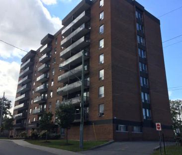 Pinewood Heights — 1 Bedroom, 1 Bathroom - Photo 2