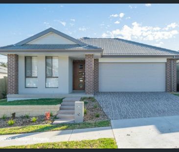 Spacious Family Home Near Park - Photo 1