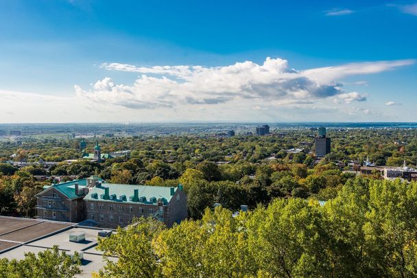 Condo à louer à Côte-des-Neiges / Notre-Dame-de-Grâce - Photo 1