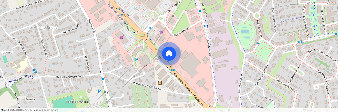 ST CYR SUR LOIRE (37540)