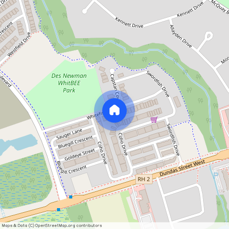 33 Whitefish Street Unit# Bsmt, Whitby