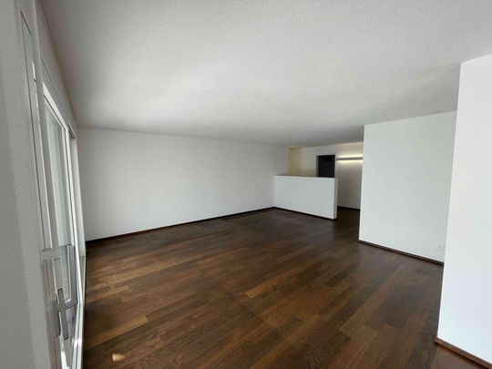 4.5 Zimmer, 125 m², 1. Stock - Foto 1