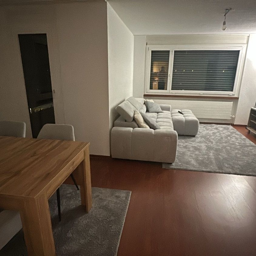Rent a 3 ½ rooms apartment in Birr - Foto 1