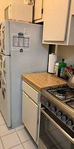 1 BED-RM STUDIO RENTAL /Kitsilano/Greektown/CAT FRIENDLY - Photo 3